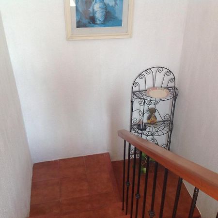 Mariposas Rooms Cancún Extérieur photo