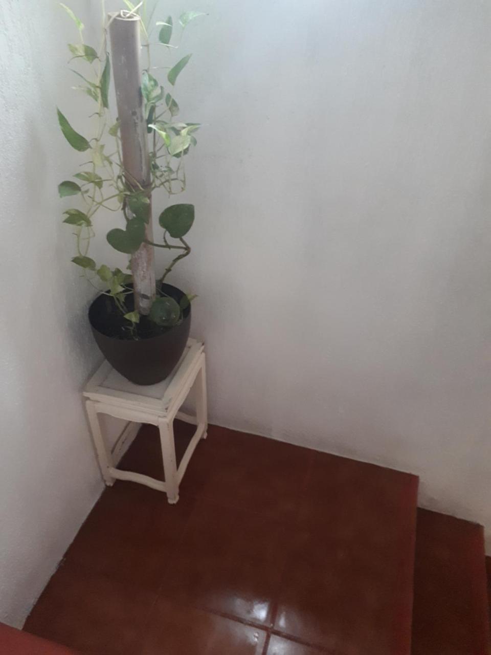 Mariposas Rooms Cancún Extérieur photo